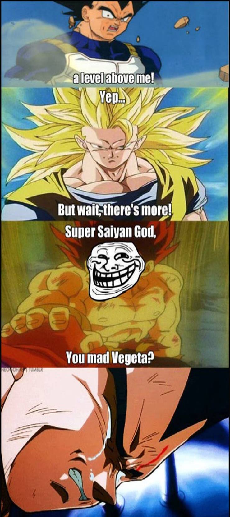 Dragon Ball 16 Hilarious Goku Vs Vegeta Memes Dragon Ball 16 Hilarious Goku Vs Vegeta Memes
